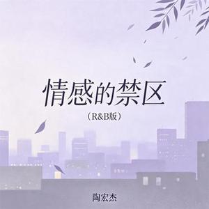 情感的禁区 (R&B版)