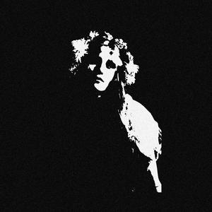 Opalescent Shadows of the Aristocracy