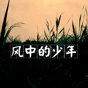 风中的少年