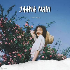 Jaana Nahi