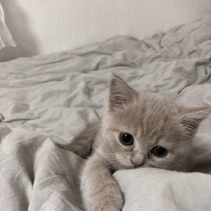 别错过花开时节