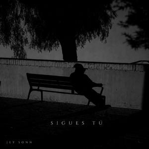 Sigues Tú