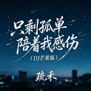 只剩孤单陪着我感伤（DJ芒果版）