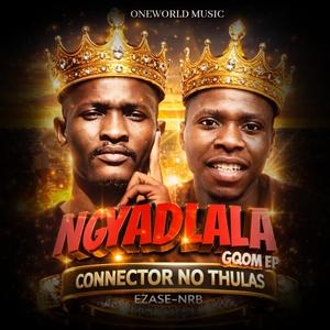 Connector No Thulas Izinja Zami