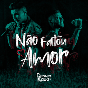 Não Faltou Amor