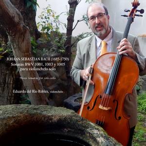 Sonata No 2 In D Minor BWV 1003: I. Grave