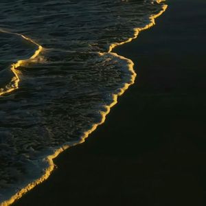 青瓷裂纹里游出