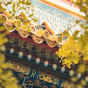 不夜长安 国风电子 国潮