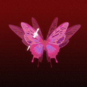 爱不是说我爱你