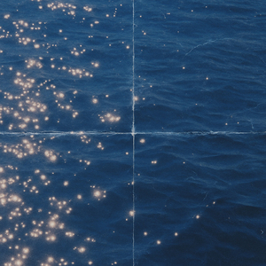 Moon Over the Forest