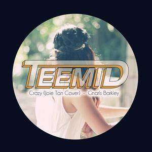 Crazy (TEEMID&joie tan cover)