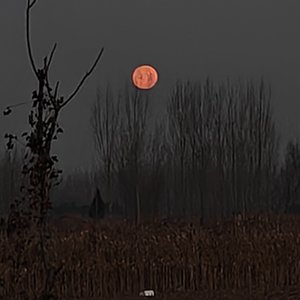 武侠梦