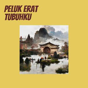 Peluk Erat Tubuhku