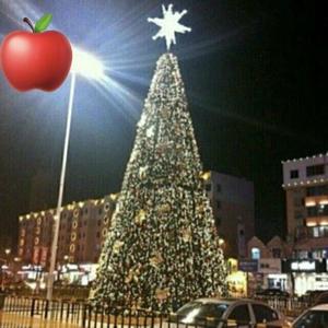 那年走过的桥，成了我到不了的远方