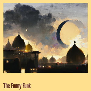 The Funny Funk