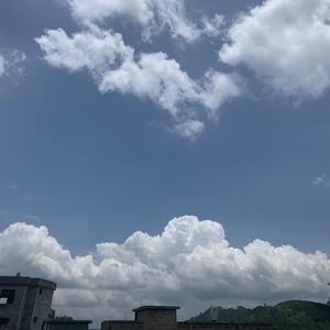 don't say say good-bye and forever young