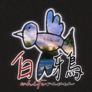 白鴉