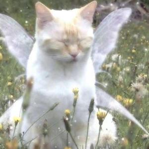 不好听别听（翻唱)