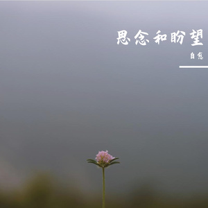 思念和盼望