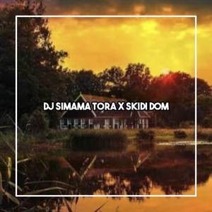 DJ SIMAMA TORA X SKIDI DOM DOM