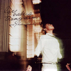 Lạc Bước Trong Đêm