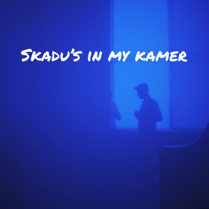 Skadu's in My Kamer