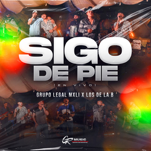 Sigo de Pie - En Vivo