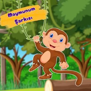 Maymunum Şarkısı
