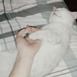 我不能忘记，我不能忘记