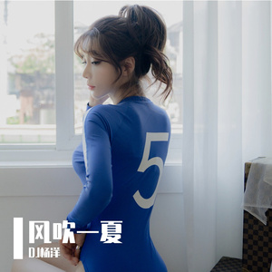 风吹一夏（DJ版）