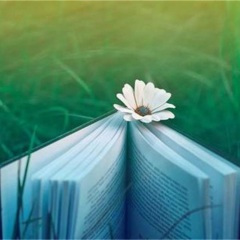 繁星小镇 (轻音乐)