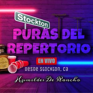 Vida Rencorosa