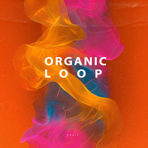 Organic Room (Original Mix)
