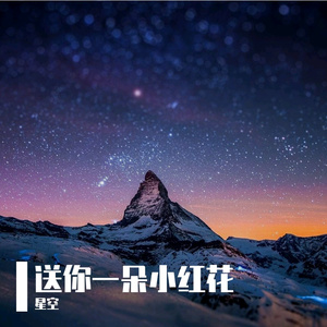 送你一朵小红花