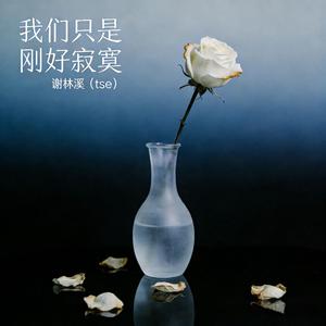 《我们只是刚好寂寞》