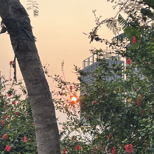 后来我们都学会了装