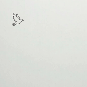 生命的云彩(弹唱)