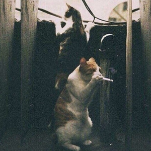 执着（Cover 许巍）