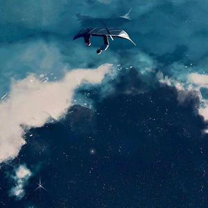 离星力