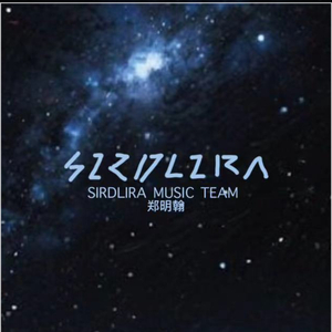 D15702Y12(Soft ver.)