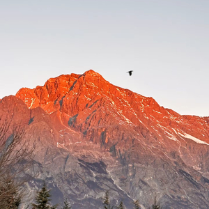 为你心动#百万奖金AI创作大赛＋主题二