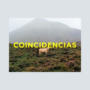 coincidencias