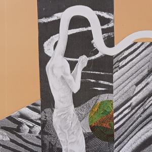 A Physical Copy of Waves on a Disk