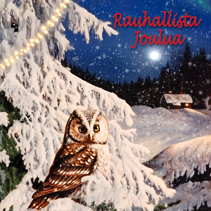 Joululaulu (Hiljaa leijaa maahan hiutaleet)