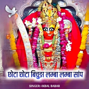 Chhota Chhota Bichhuda Lamba Lamba Samp