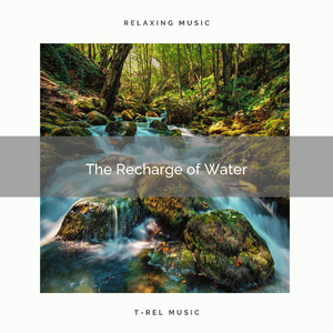 Whispering Brook Vibes for Perfect Nap