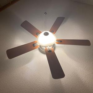 Young Jack Innanen Song