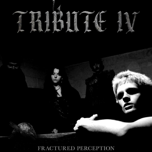 Fractured Perception