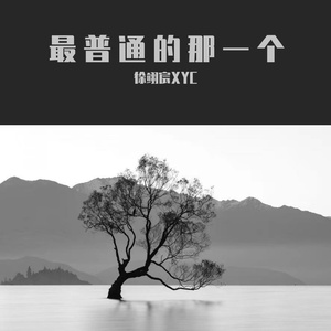 最普通的那一个