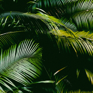 Meditation Field Of Essence